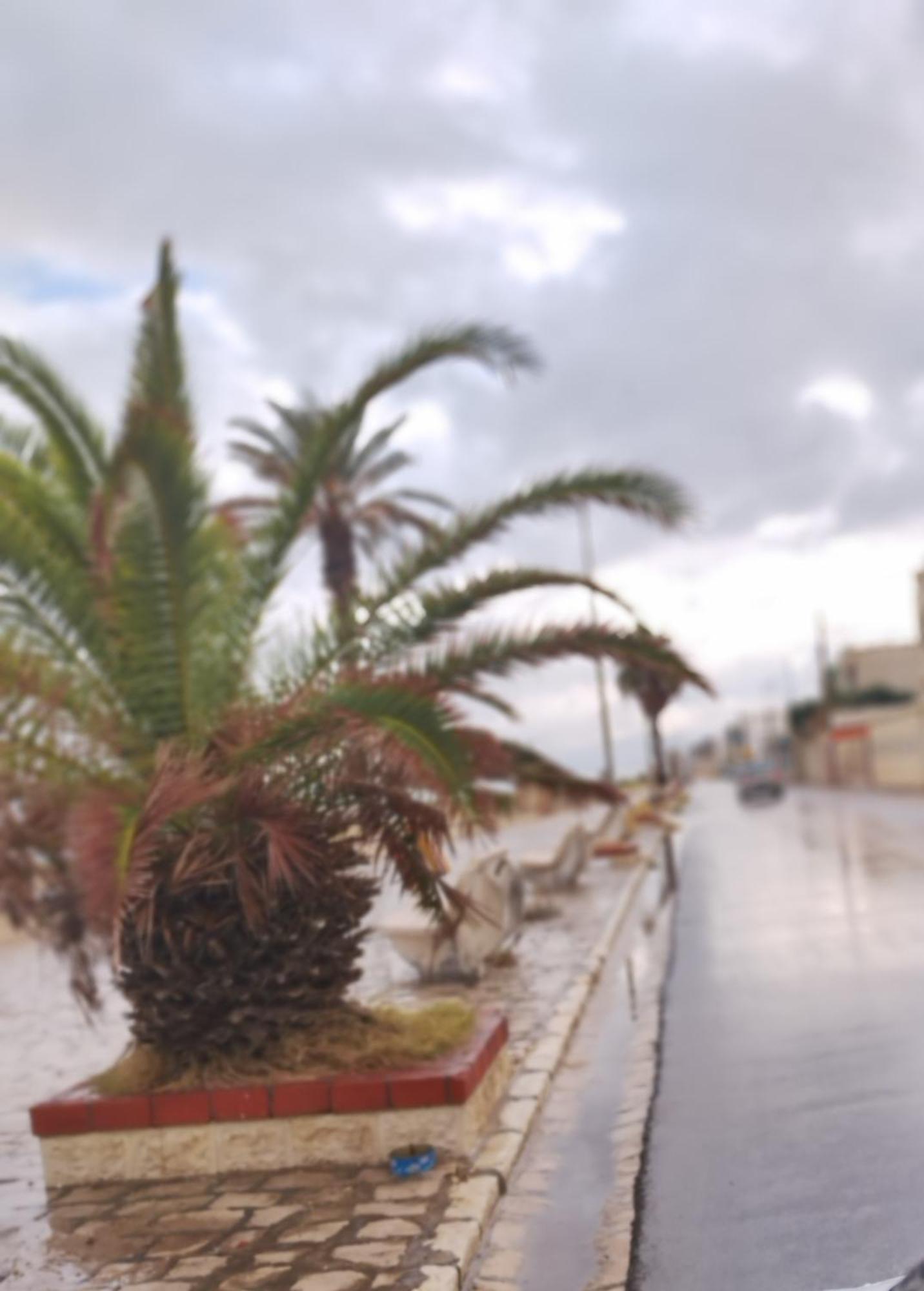 Appartement Hammam-Lif Les Cyclamens Tunisie Afrique Kültér fotó